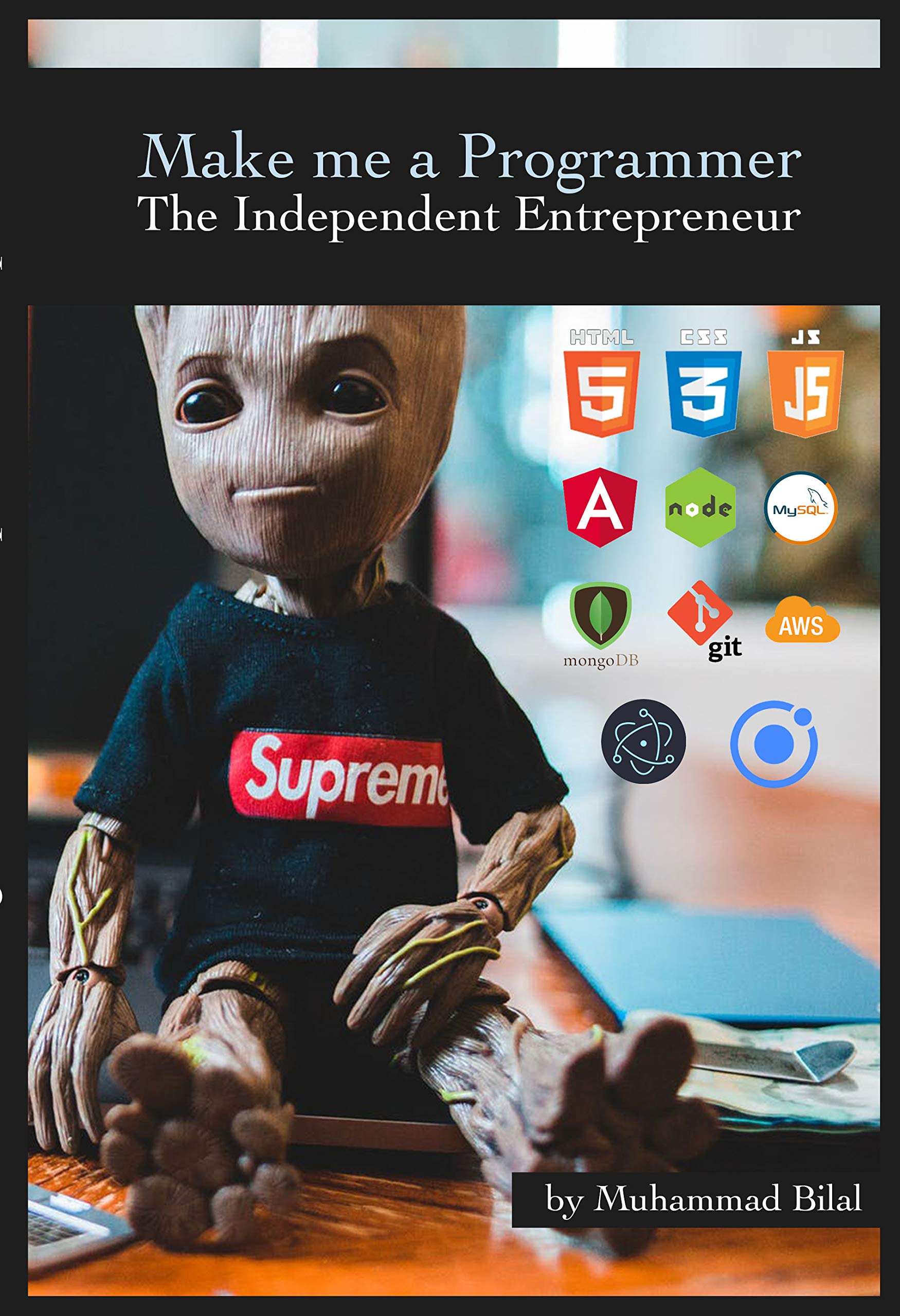 Make Me a Programmer cover